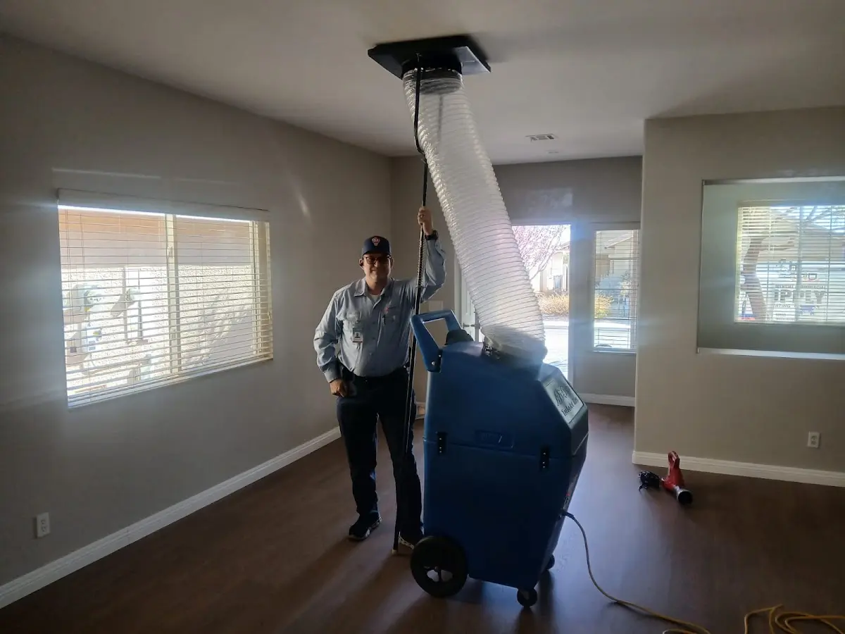 Professional Dryer Vent Cleaning work inside a Palmetto home
